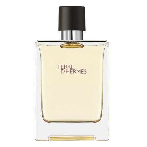 בושם Hermes Terre D'hermes EDT ‏100 מ״ל