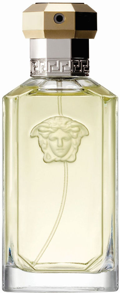 عطر فيرساتشي Dreamer EDT ‏100 مل