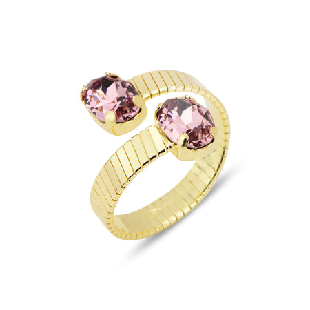 טבעת מעבדות